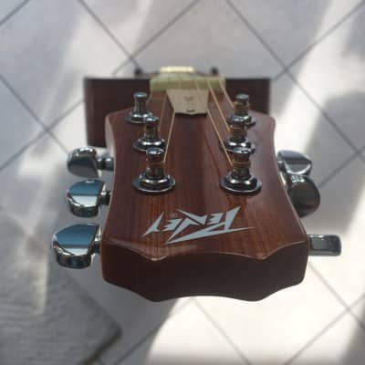 Peavey DW-1 Acoustic-Electric Guitar image 2