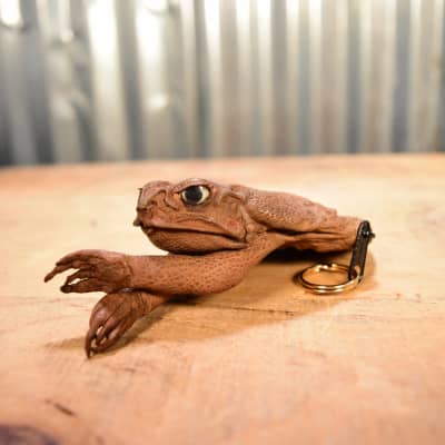 CANE TOAD PICK POUCH (With Arms) image 1