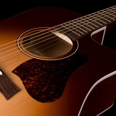 Seagull Entourage Dreadnought Autumn Burst New Old Stock image 8