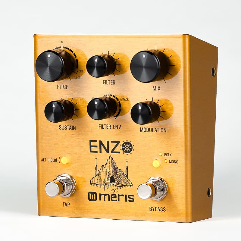 Meris Enzo | Reverb