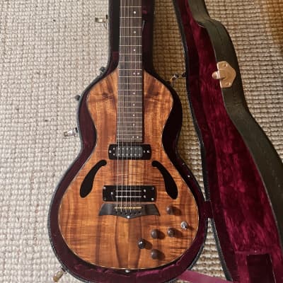 Asher Lap Steel for sale