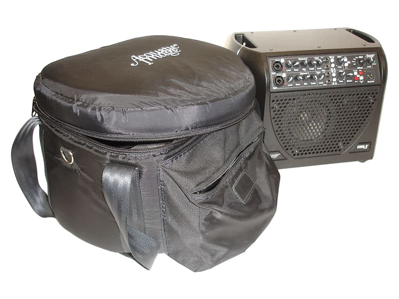 Acoustic Image Coda R Series III Acoustic / Bass / Upright