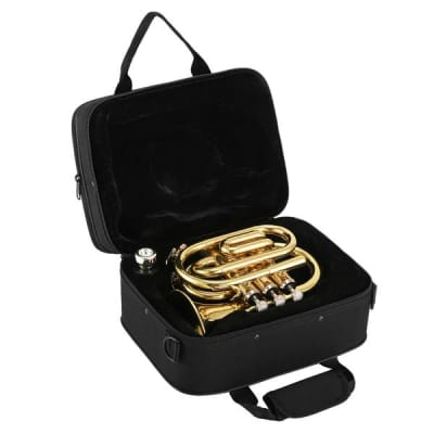 Standard Pocket Trumpet Bb Full Kit With Case & Accessories Bundle image 13