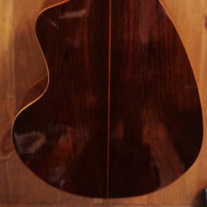 Giannini AWKS-12 12 String Acoustic guitar w/ OHSC image 9