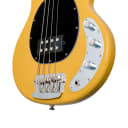 Sterling by Music Man StingRay Classic 4 String Butterscotch Bass Guitar