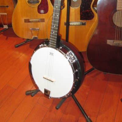 Washburn Banjo Pack w/ Gig Bag, Pics Etc. White image 1