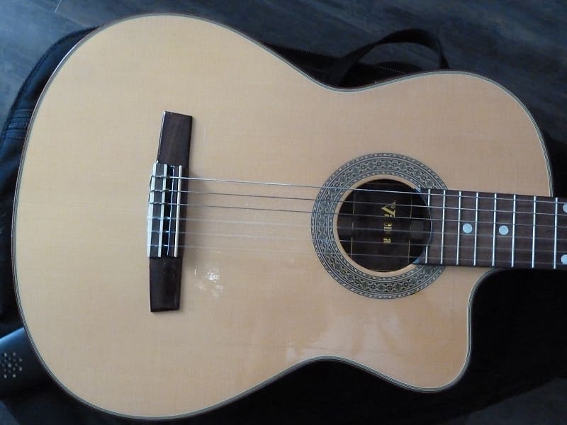 Valencia CG50CE Rosewood/Mahogany w/gig bag & humidifier Reverb