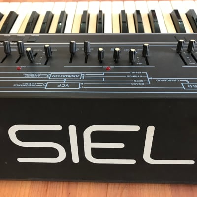 siel orchestra 2 or 800 string synthesizer very good condition image 8