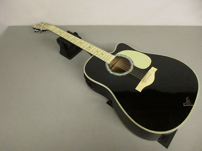 Esteban VL200 Acoustic/Electric Guitar Reverb