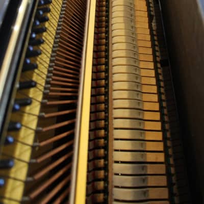 Yamaha 48" U1H Professional Collection Upright Piano | Polished Ebony | Used image 5
