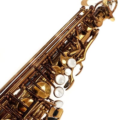 FORESTONE Alto Saxophone Forestone GX COLORS image 3