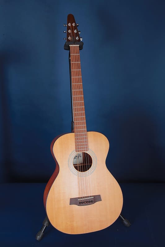 Barbarossa Baritone BB-1 Guitar 2014 / Flawless! image 1