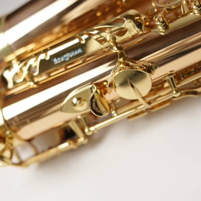 [In Stock]_Freeshipping! Yanagisawa Alto saxophone A WO-2 [AWO2]Bronze Brass Body image 16
