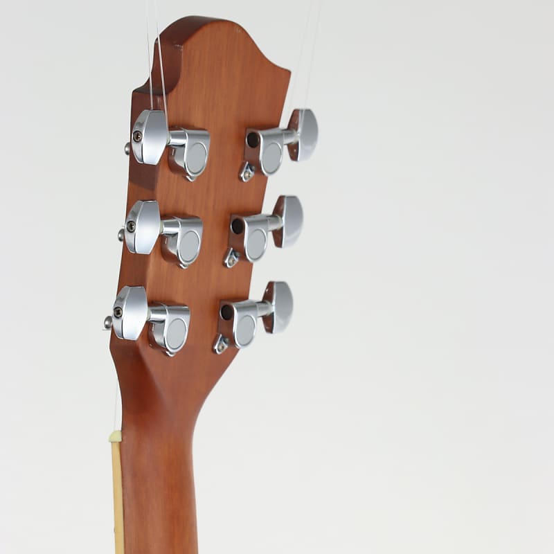 美品 超希少 Fernandes APG series 500本限定品 付属品付 - メルカリ