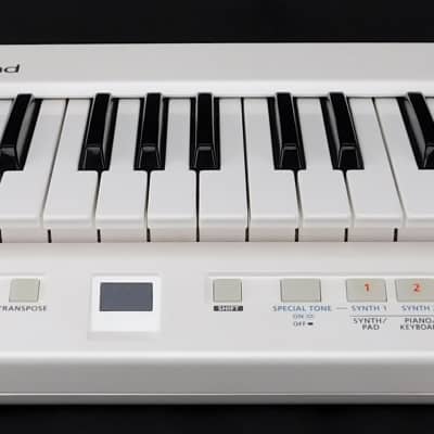 Roland AX-09 Lucina 37-Key Keytar Synthesizer + Top Zustand + 2 Jahre Garantie