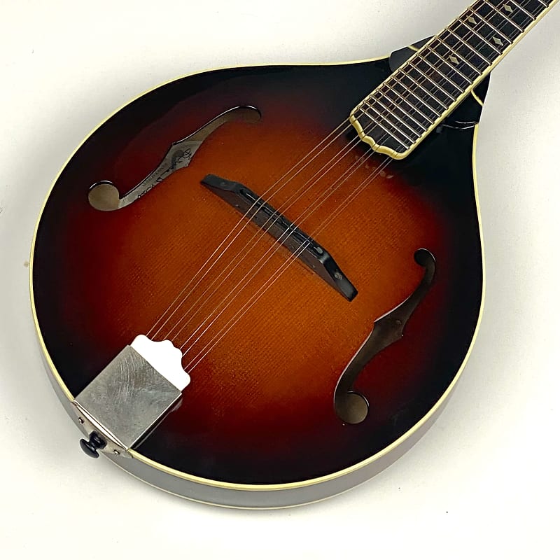 Weber "A-Style" Mandolin Absaroka Custom ordered W OHSC image 1