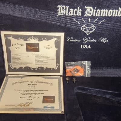 Black Diamond Custom Shop Tigers Eye X-Pro w/ TLK HSC, CoA & Schaller Strap Locks image 3
