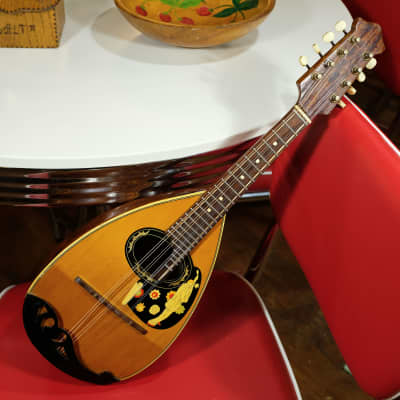 1960s Carmelo Catania Bowlback Mandolin | Reverb