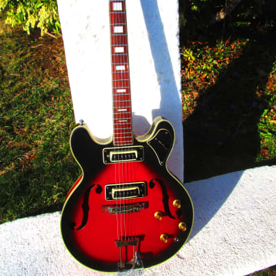 Univox 335 Style Guitar, 1960's, Japan, "Player", Case image 2