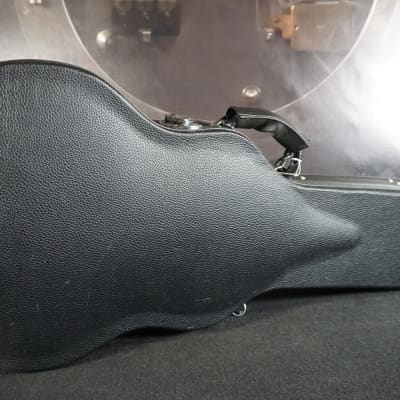 Agile AL-3100MCC - Flame Top Les Paul w/ Hard Case image 14