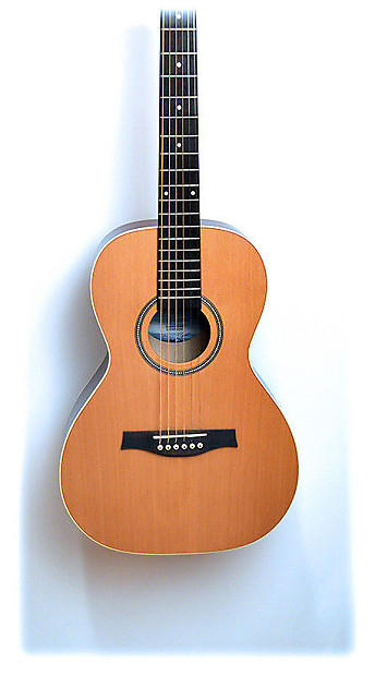 Seagull coastline grand acoustic guitar on sale