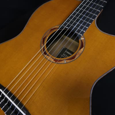 Yamaha NCX3C Nylon String Acoustic Electric Classical Guitar w/Reinforced Carry Bag image 8
