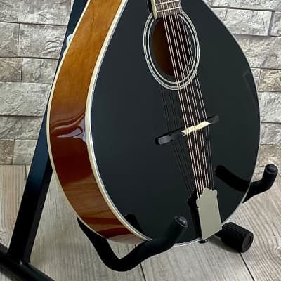Trinity College TM-325B Standard Celtic Octave Mandolin – Black Top with Case for sale