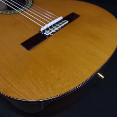 Alhambra 5P-CW-E1 Cutaway Acoustic Electric Classical Guitar w/Gig Bag image 7