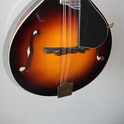 Brand New Kentucky KM-500 A-Style Mandolin with Gig Bag image 4