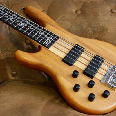 Raven West Guitars RBS 5500 LEFTY 5 STRINGS | Reverb