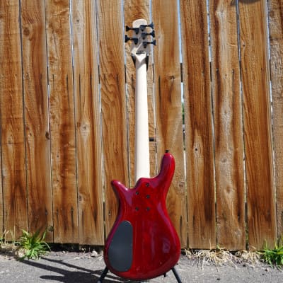 Spector Bantam-5 Black Cherry Gloss 32 inch 5-String Bass Guitar w/ Gig Bag image 8