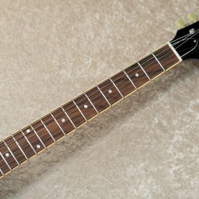 ESP Edwards Explorer E-EX-110D Satin Nevada Brown 2008 Made