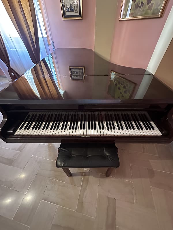 Chickering & Sons 58515 1881 - Marrone satinato image 1