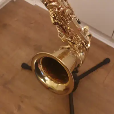 Monzani MZTS-100L Bb-Tenor Saxophone (Bundle) image 2