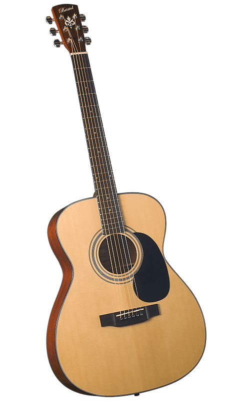 Bristol acoustic guitar new arrivals