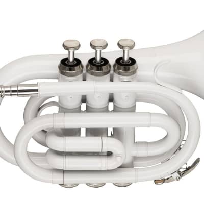 Stagg Bb Pocket Trumpet with Brass Body - White - WS-TR249S image 1