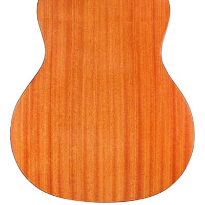 Cordoba Protégé Estudio 7/8 Nylon String Guitar, Natural image 2