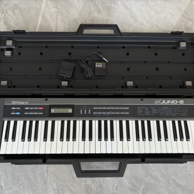 Roland Alpha Juno-2 Polyphonic Synthesizer with Expression Pedal and M-64C Memory Card