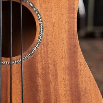 Gold Tone M-Bass 23' Scale Acoustic-Electric MicroBass with Gig Bag image 10