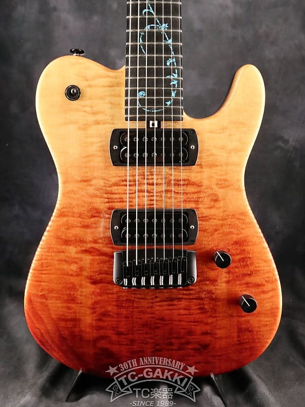 ギター Bacchus T7 CUSTOM YS/R (NA-MAT) 122168-1.jpg