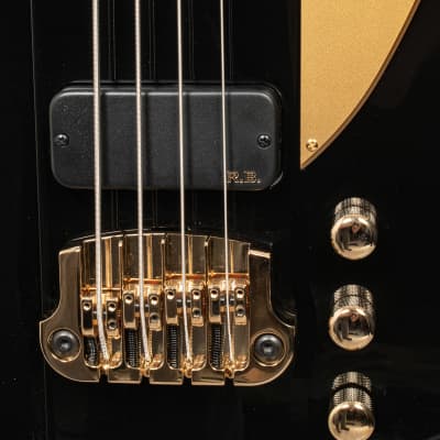 Gibson Rex Brown Thunderbird Signature Bass Ebony image 13