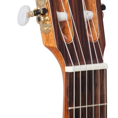 Kremona  F65C | Solid Cedar Top Classical Guitar. New with Full Warranty! image 11