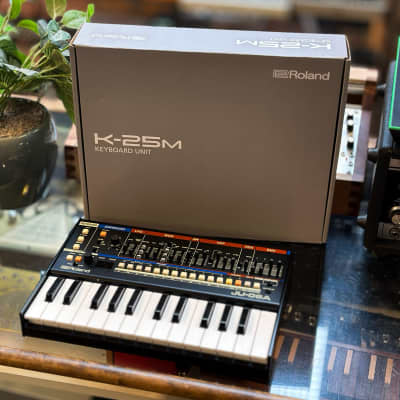 Roland JU-06A with K-25m Keyboard image 2