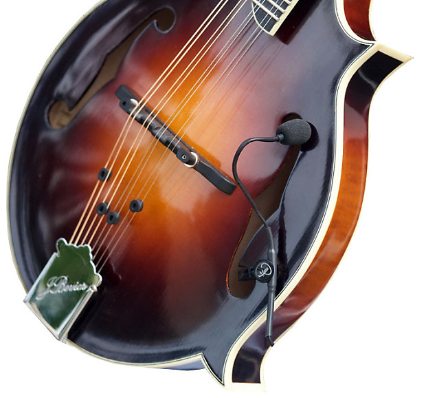 THE FEATHER" F STYLE MANDOLIN PICKUP with FLEXIBLE MICRO GOOSE