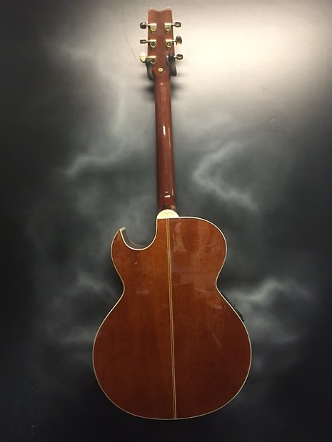 Washburn ea9f clearance