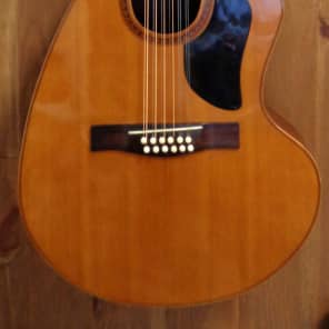 Giannini AWKS-12 12 String Acoustic guitar w/ OHSC image 1
