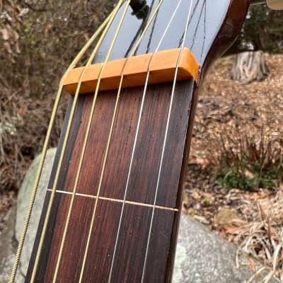 Very Rare Vega Acoustic Hawaiian Steel Guitar Fretless 1938 - Natural image 12