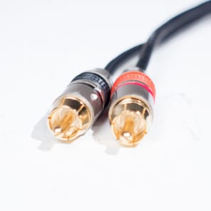 Seismic Audio - 3 Foot Dual XLR Female to Dual RCA Male Patch Cable image 3