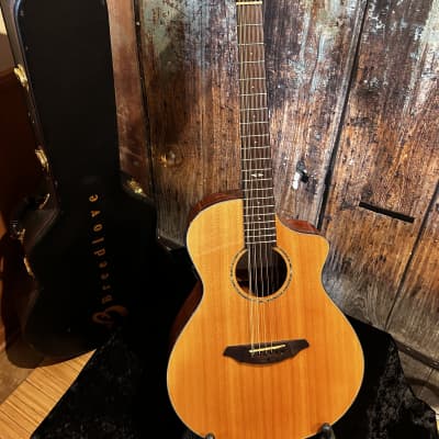 2010 Breedlove Atlas Series Studio C250/SMe-12 Acoustic-Electric 12 String Guitar MIK w/ OHSC - Natural - Gorgeous, Sounds Awesome! image 5