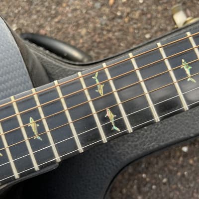 RainSong WS1000 Classic Series Carbon Fiber Acoustic Guitar image 6